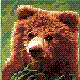 Benutzerbild von kleiner Br