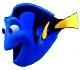 Benutzerbild von Dori