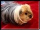 Benutzerbild von Esther