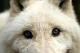 Benutzerbild von Archaster