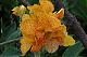 Benutzerbild von Blume68