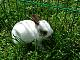 Benutzerbild von ***anja***