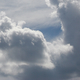 Benutzerbild von asgard