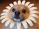 Benutzerbild von kerstin01