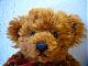 Benutzerbild von swinny