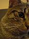 Benutzerbild von kitty666