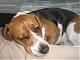 Benutzerbild von Tiffy2009