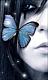 Benutzerbild von fairy251