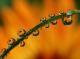 Benutzerbild von life62