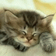 Benutzerbild von Nina S