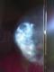 Benutzerbild von Karin S