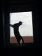 Benutzerbild von Emile