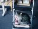 Benutzerbild von Frances