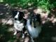 Benutzerbild von Christine03