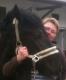 Benutzerbild von Ponyreiterin