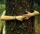 Benutzerbild von treehugger