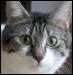 Benutzerbild von Lytha