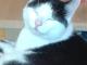 Benutzerbild von phoenix02