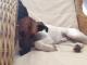 Benutzerbild von little-elsie