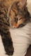 Benutzerbild von Geliplie