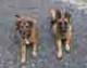 Benutzerbild von Aeryn