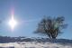 Benutzerbild von Willkie