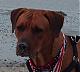 Benutzerbild von kenny