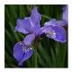 Benutzerbild von Iris2404