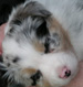 Benutzerbild von JJ-