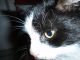 Benutzerbild von andreaa