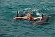 Benutzerbild von Swimming Dolphin
