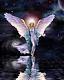 Benutzerbild von AngelHope